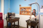 Inside the Grooming Shop