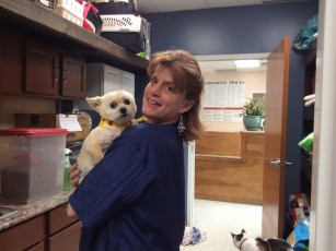 PERSONALITY CUT ON A YORKIE MIX 2